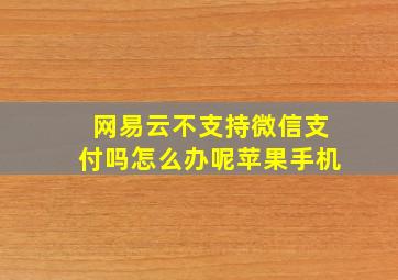 网易云不支持微信支付吗怎么办呢苹果手机