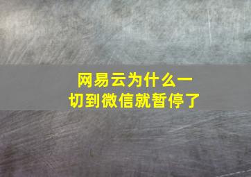 网易云为什么一切到微信就暂停了