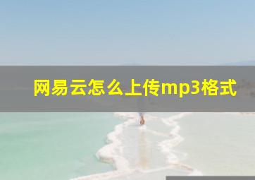 网易云怎么上传mp3格式