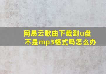 网易云歌曲下载到u盘不是mp3格式吗怎么办