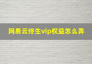 网易云终生vip权益怎么弄