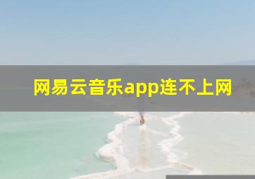 网易云音乐app连不上网