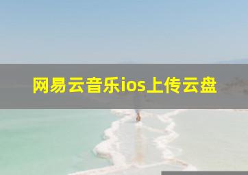 网易云音乐ios上传云盘