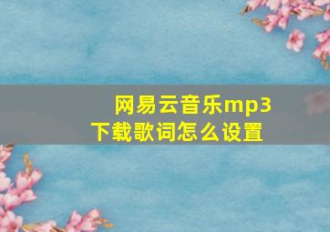 网易云音乐mp3下载歌词怎么设置