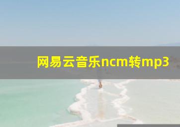 网易云音乐ncm转mp3