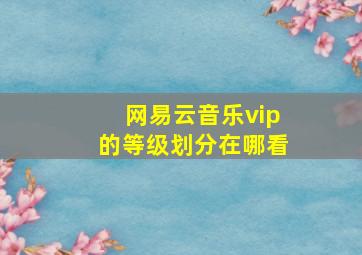 网易云音乐vip的等级划分在哪看