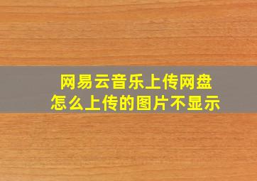 网易云音乐上传网盘怎么上传的图片不显示