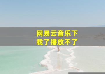 网易云音乐下载了播放不了