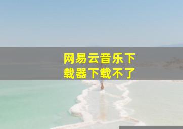 网易云音乐下载器下载不了