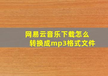 网易云音乐下载怎么转换成mp3格式文件