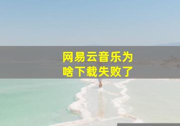 网易云音乐为啥下载失败了