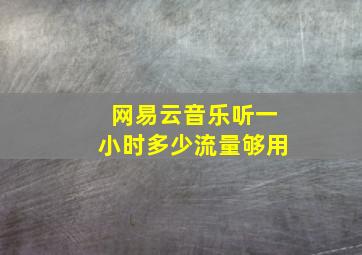 网易云音乐听一小时多少流量够用