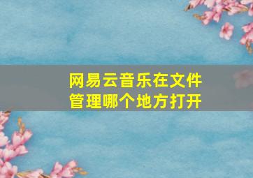 网易云音乐在文件管理哪个地方打开