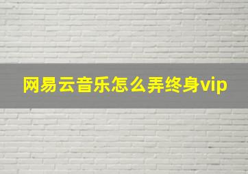 网易云音乐怎么弄终身vip