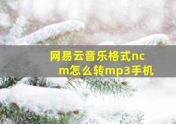 网易云音乐格式ncm怎么转mp3手机