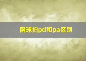 网球拍pd和pa区别