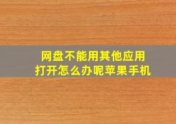 网盘不能用其他应用打开怎么办呢苹果手机