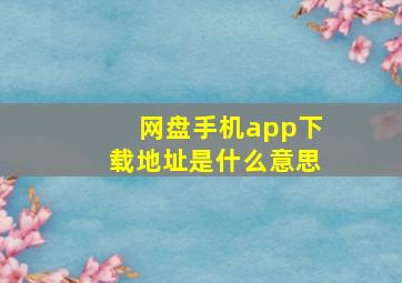 网盘手机app下载地址是什么意思