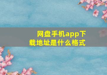 网盘手机app下载地址是什么格式