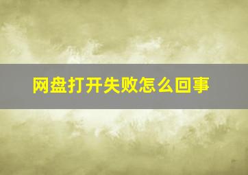 网盘打开失败怎么回事