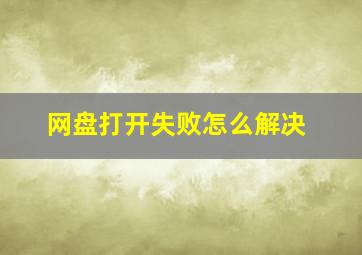 网盘打开失败怎么解决