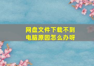 网盘文件下载不到电脑原因怎么办呀