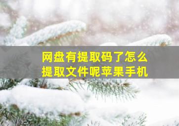 网盘有提取码了怎么提取文件呢苹果手机