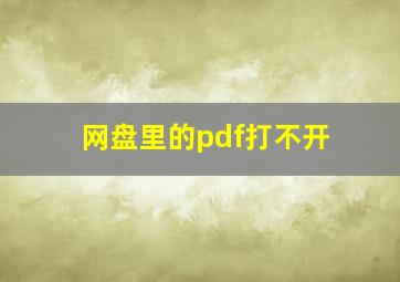 网盘里的pdf打不开