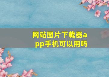 网站图片下载器app手机可以用吗