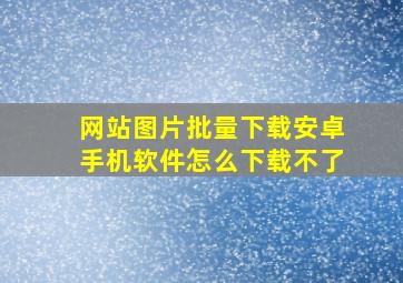 网站图片批量下载安卓手机软件怎么下载不了