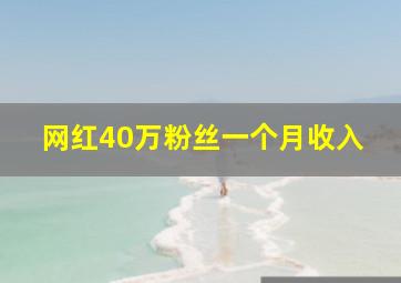 网红40万粉丝一个月收入