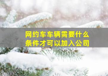 网约车车辆需要什么条件才可以加入公司