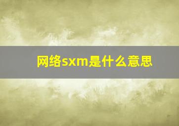 网络sxm是什么意思