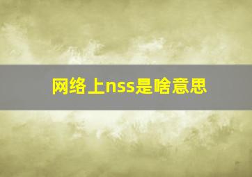 网络上nss是啥意思