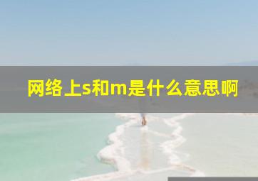 网络上s和m是什么意思啊