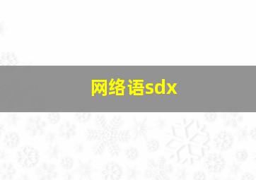 网络语sdx