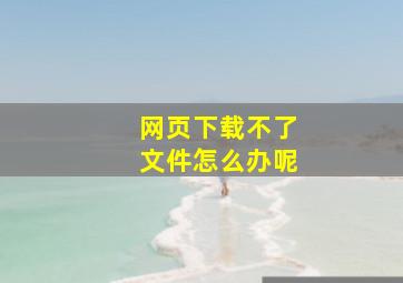 网页下载不了文件怎么办呢