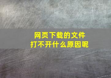 网页下载的文件打不开什么原因呢