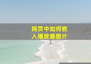 网页中如何嵌入播放器图片