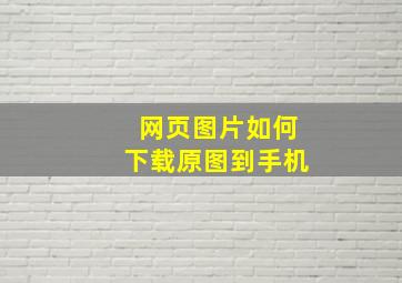 网页图片如何下载原图到手机