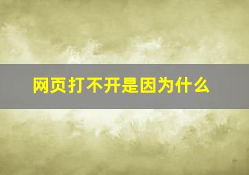 网页打不开是因为什么