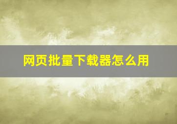 网页批量下载器怎么用