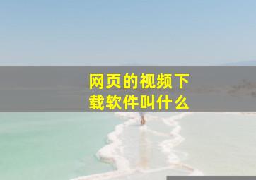 网页的视频下载软件叫什么