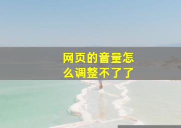 网页的音量怎么调整不了了