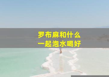 罗布麻和什么一起泡水喝好