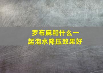 罗布麻和什么一起泡水降压效果好