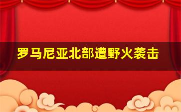 罗马尼亚北部遭野火袭击