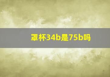 罩杯34b是75b吗