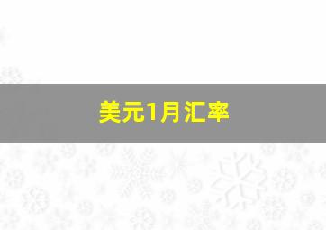 美元1月汇率