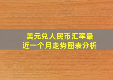 美元兑人民币汇率最近一个月走势图表分析